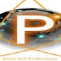 Pentasoft Professional