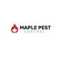 maple pest