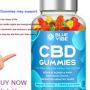 Blue Vibe CBD Gummies Reviews