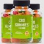 Zenleaf CBD Gummies