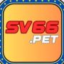 SV66 pet