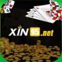 xin95net