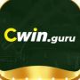 cwincomnet