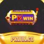 pkwincombond