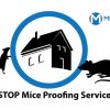 Reliable Information Regarding Pest Control London