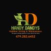 Expert Pea Ridge Lawn Care by Handy Dandys Outdoor Living & Maintenance