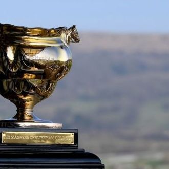 UK Gold Cup Updates